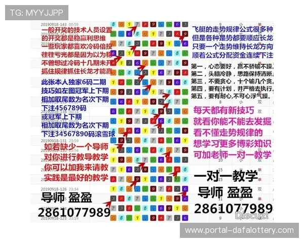 官方飞艇投注技巧全面解析与实用指南分享