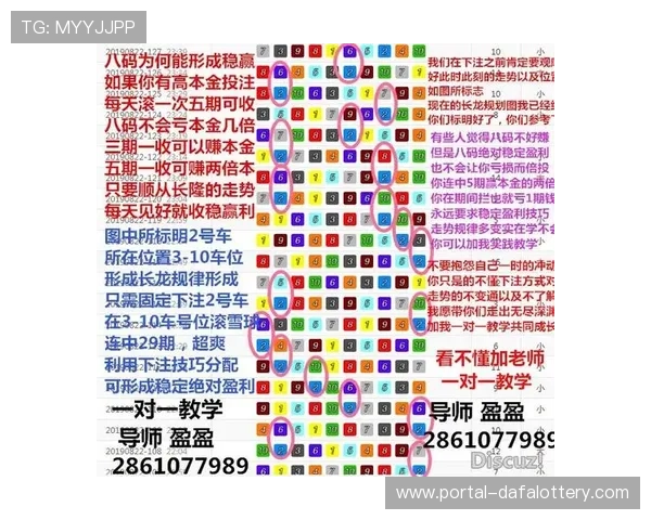 幸运飞艇查询技巧全面解析帮助你掌握开奖结果和投注策略