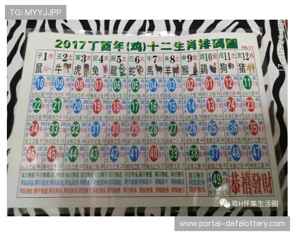 揭秘六合彩视频背后的投注技巧与规律解析助你理性看待机会与风险